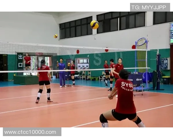 深圳排球队展现卓越实力荣登排球耐力排行榜第二名