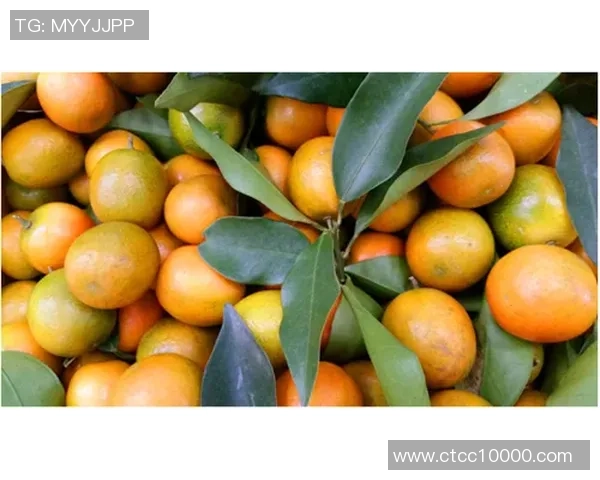 足球明星们的健康饮食新宠牛油果如何助力他们的竞技状态与表现